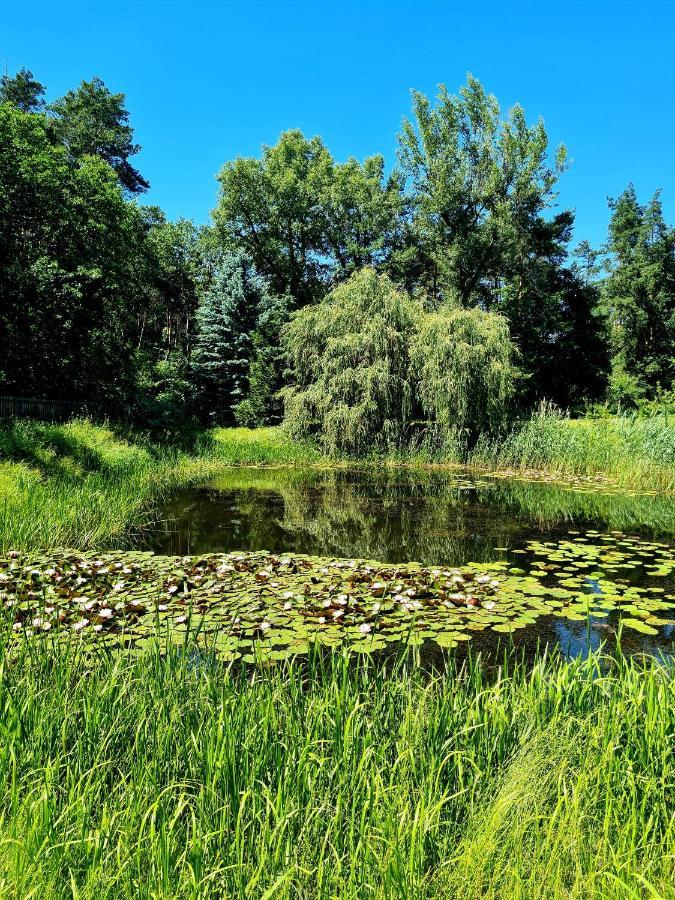 Wrzosowe Siedlisko Vila Czosnów Exterior foto